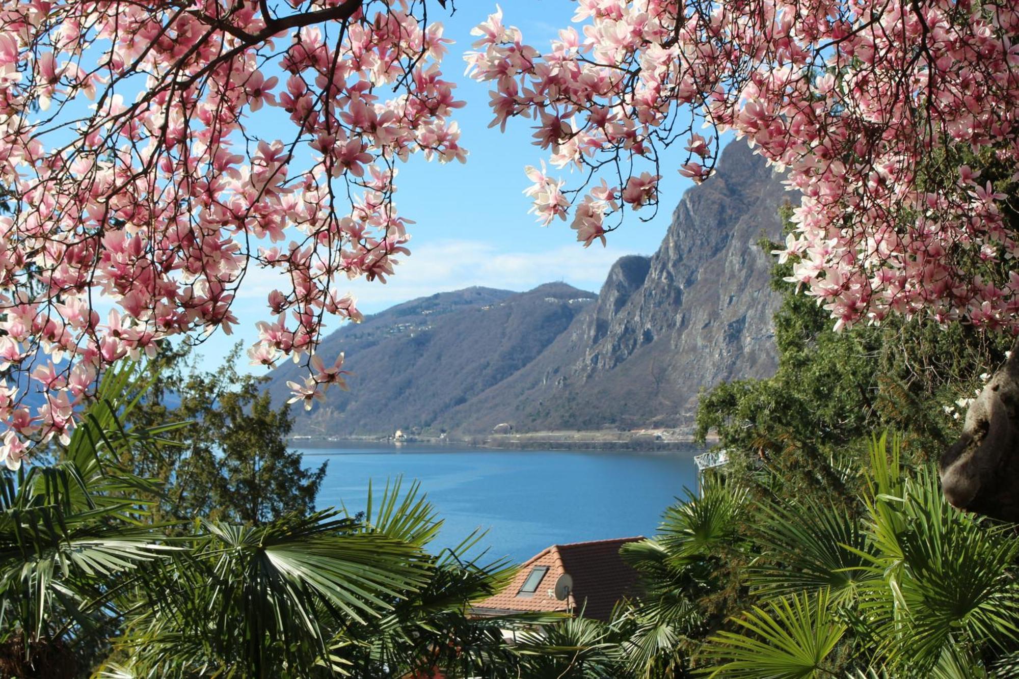 Barony Le Pergole Holiday Apartments Lugano Exterior photo