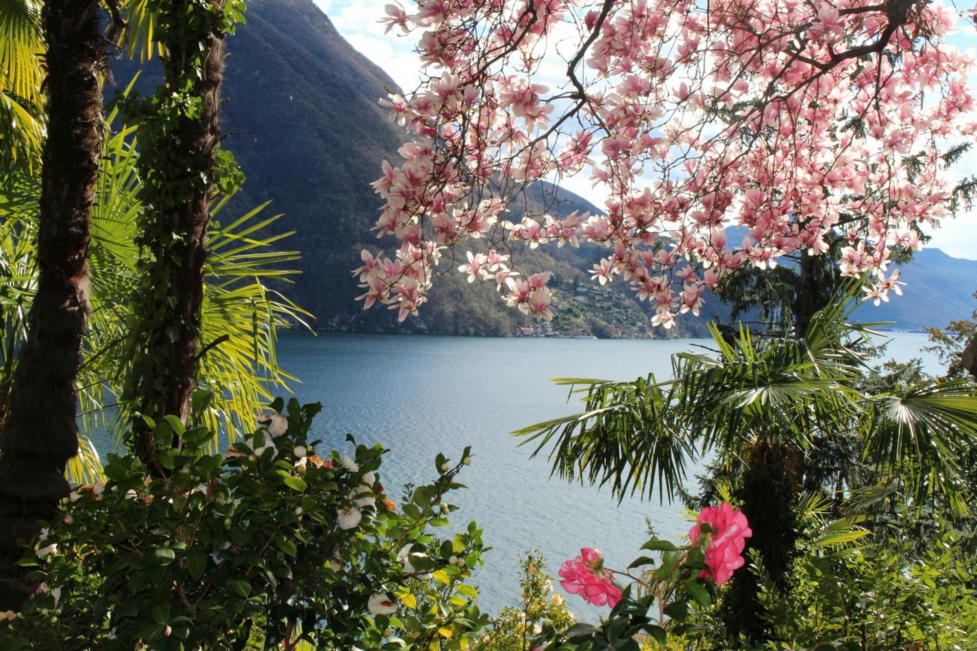 Barony Le Pergole Holiday Apartments Lugano Exterior photo